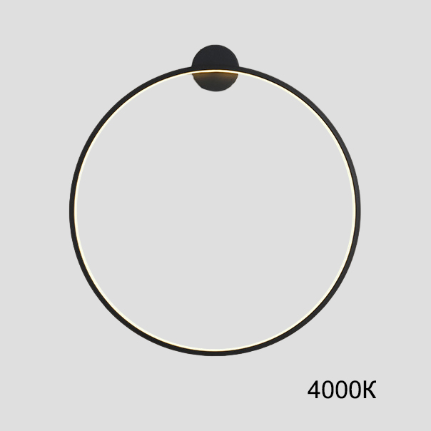 Настенный светильник GUARD B D120 4000К by ImperiumLoft