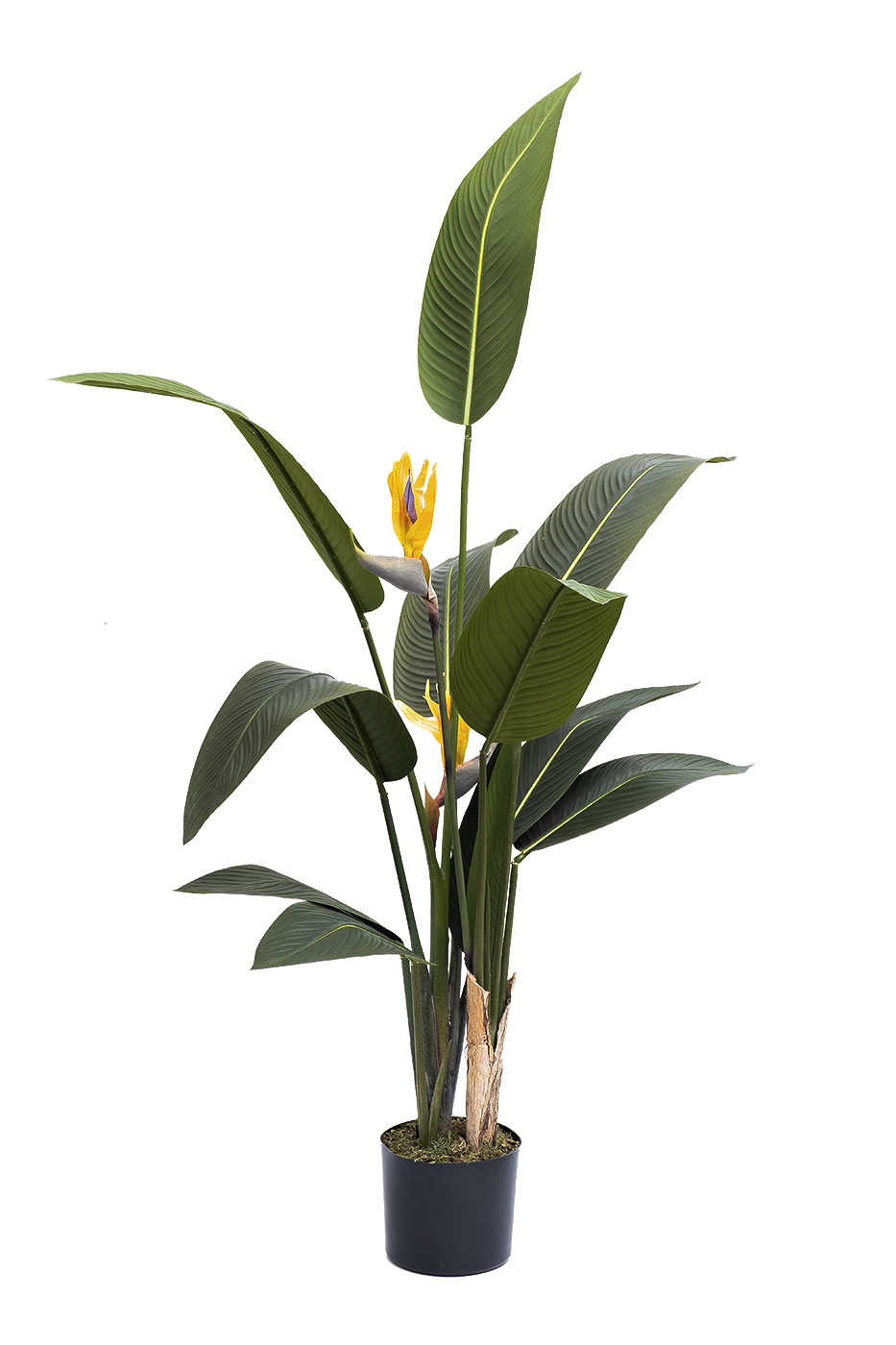 Куст стерлиции искусственный в горшке Garda Decor 29BJ-925-11