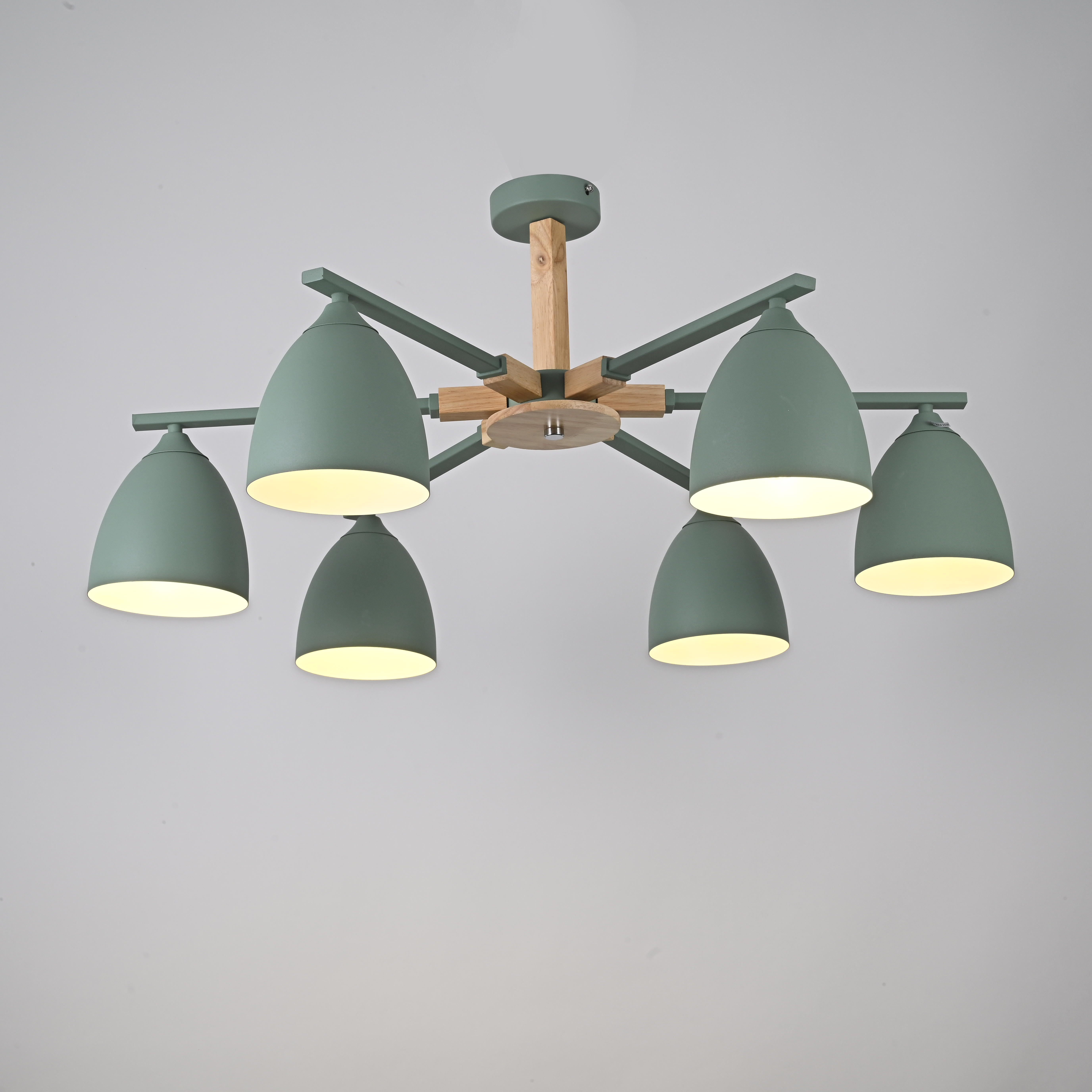 Потолочная люстра NOA 6 Mint by ImperiumLoft