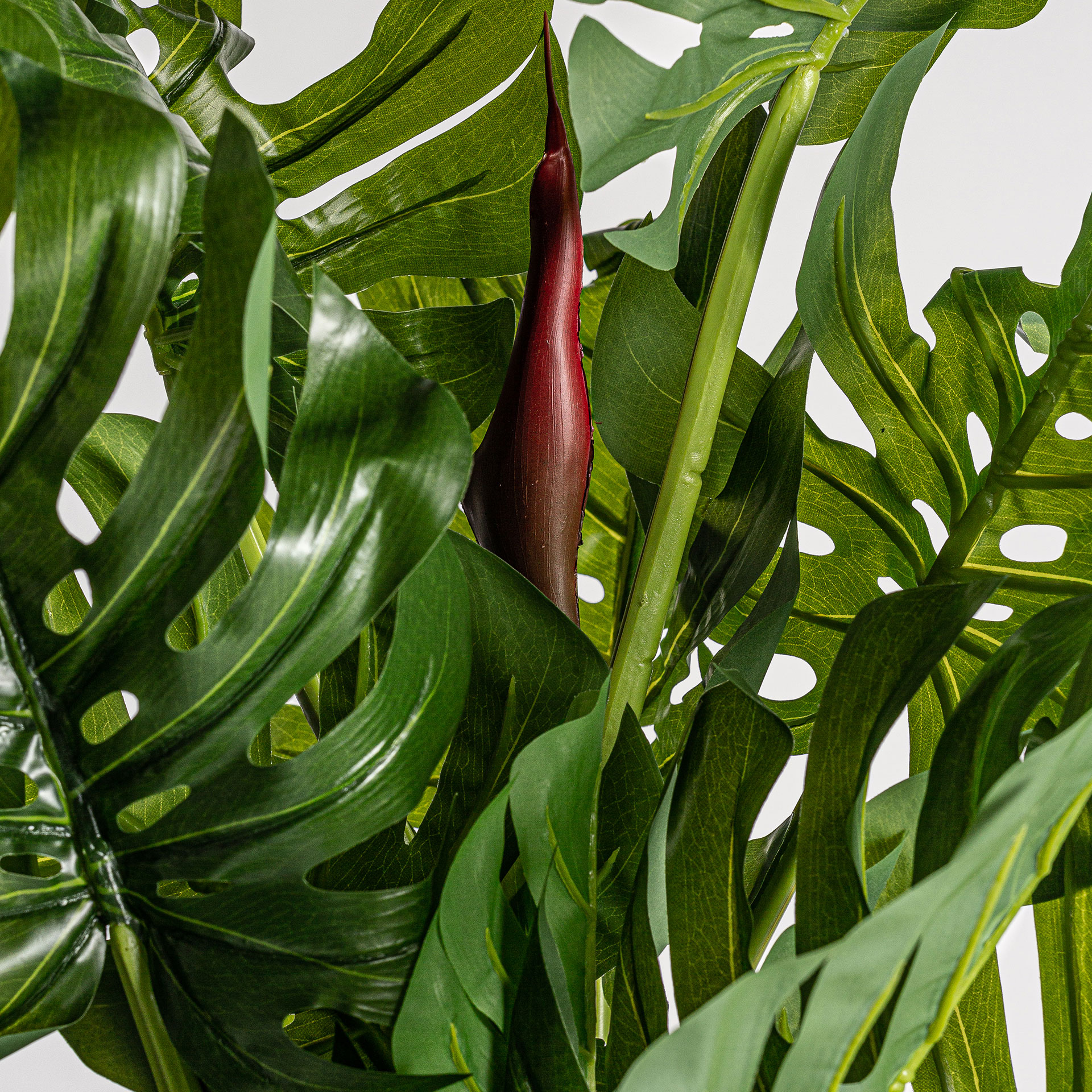 Искусственное растение SPLIT PHILO Vical