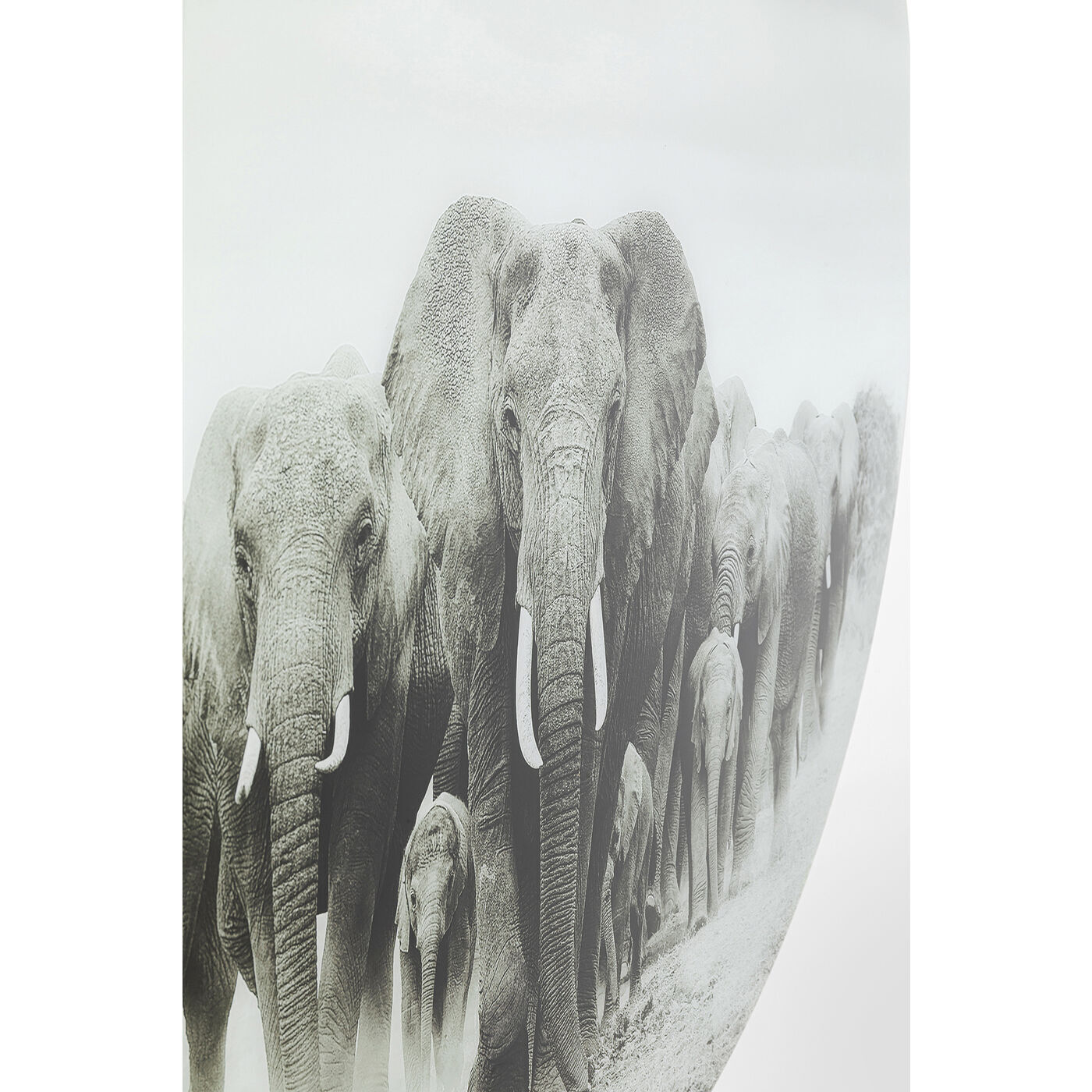 Картина KARE Elephants 54576