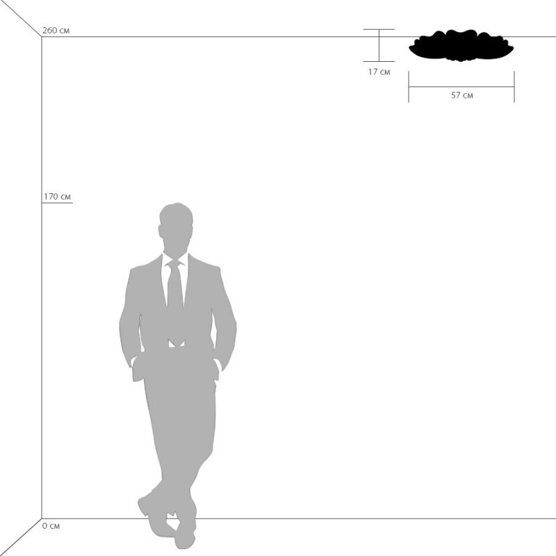 Накладная люстра Lightstar 804020