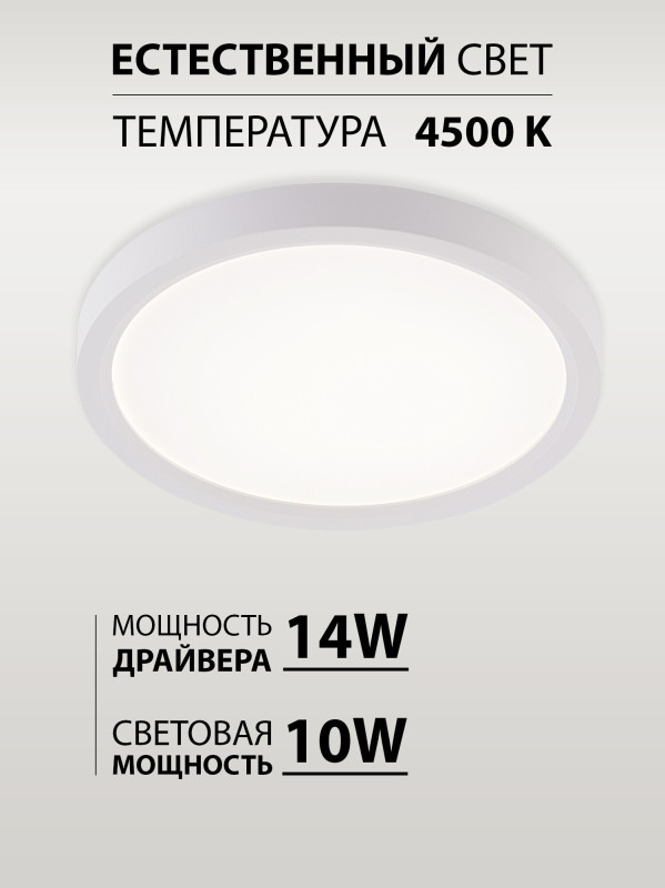 Накладной светильник Natali Kovaltseva LED LAMPS 81113/1C