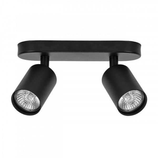 Спот ARTE Lamp A3226PL-2BK