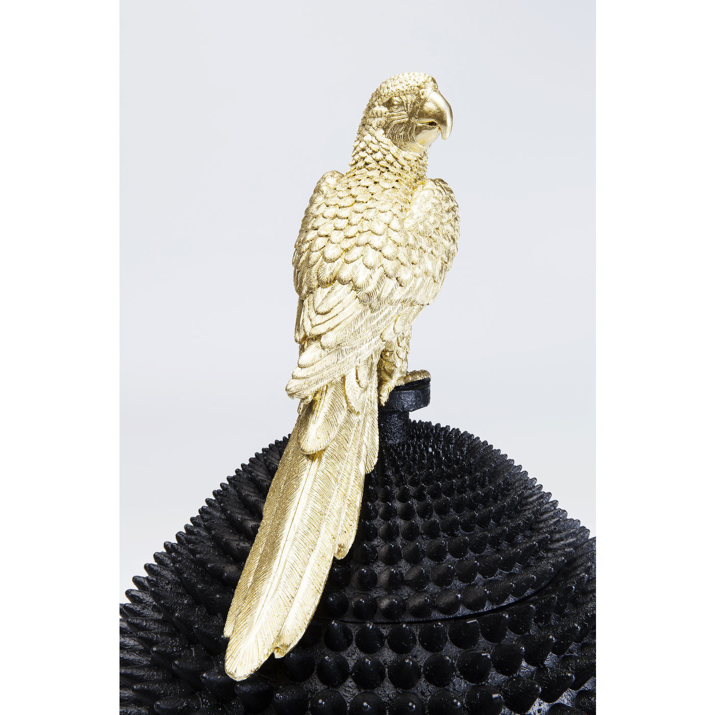 Шкатулка Parrot 51066 KARE
