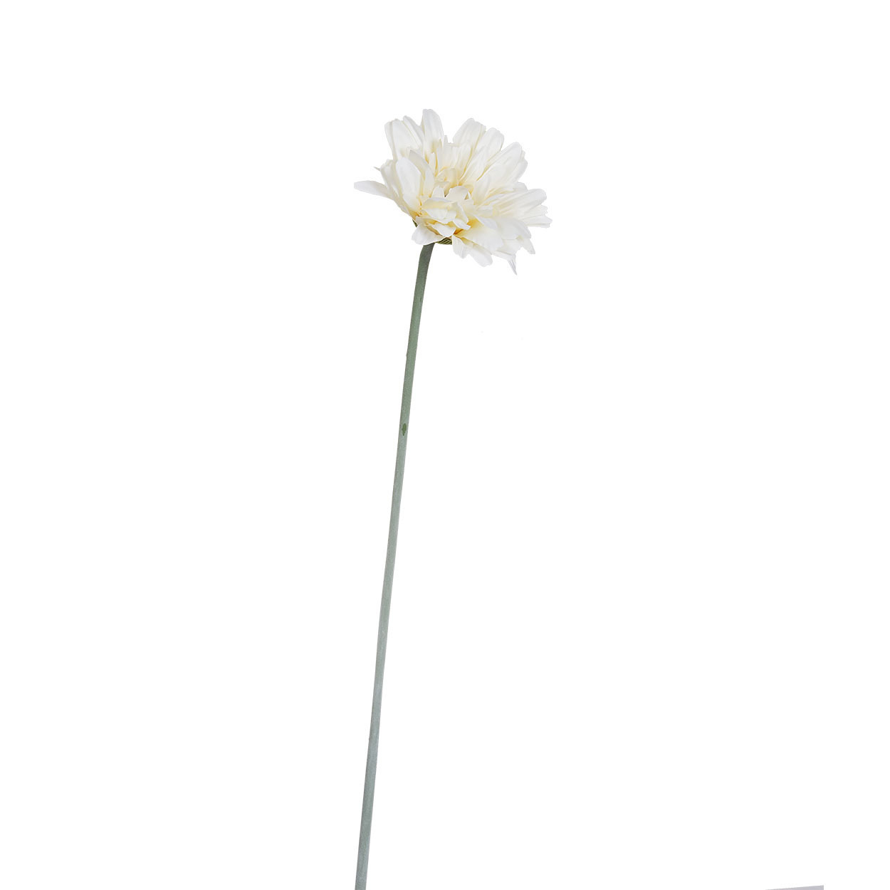 Гербера белая Garda Decor 9F27315F-1499