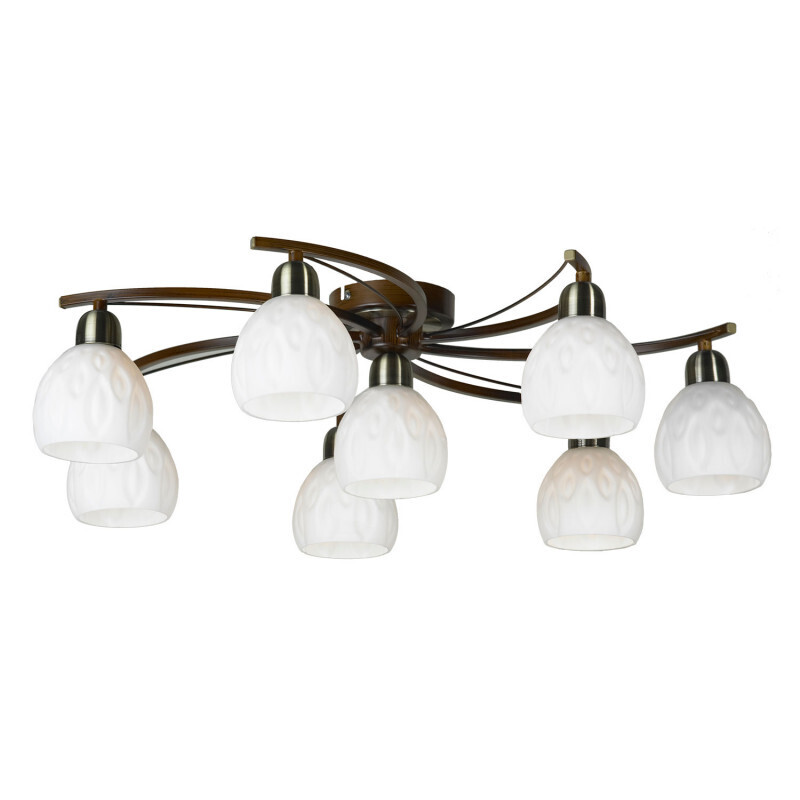 Накладная люстра Lussole LGO LSP-0046