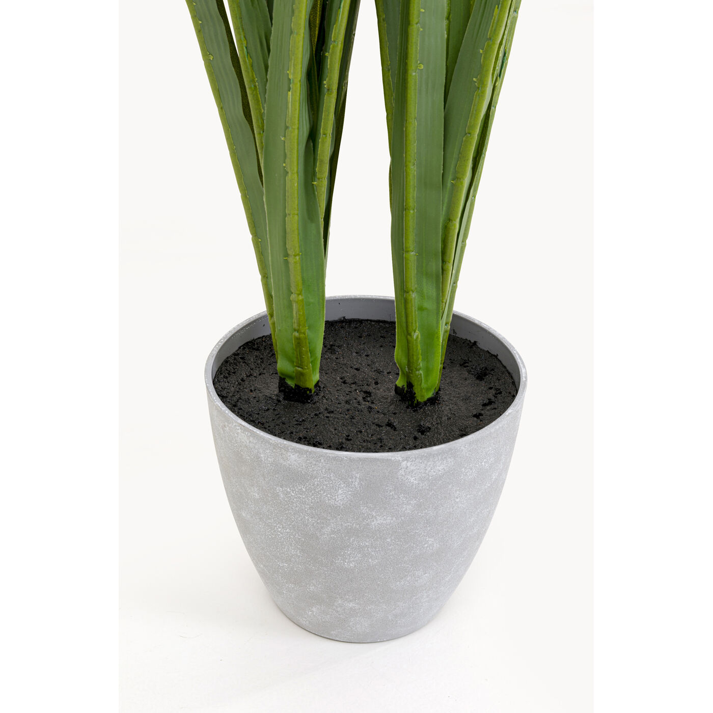 Растение декоративное Orchid 100m KARE 58434