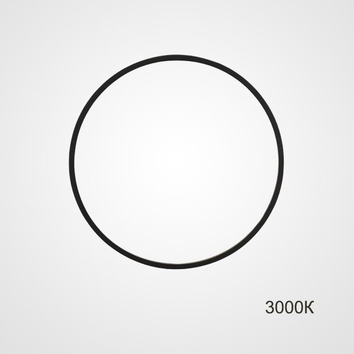 Настенный светильник GUARD D60 3000К by ImperiumLoft