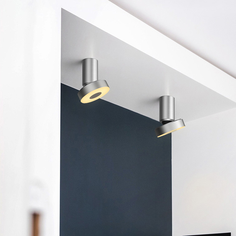 Потолочный точечный светильник STIR Silver by ImperiumLoft
