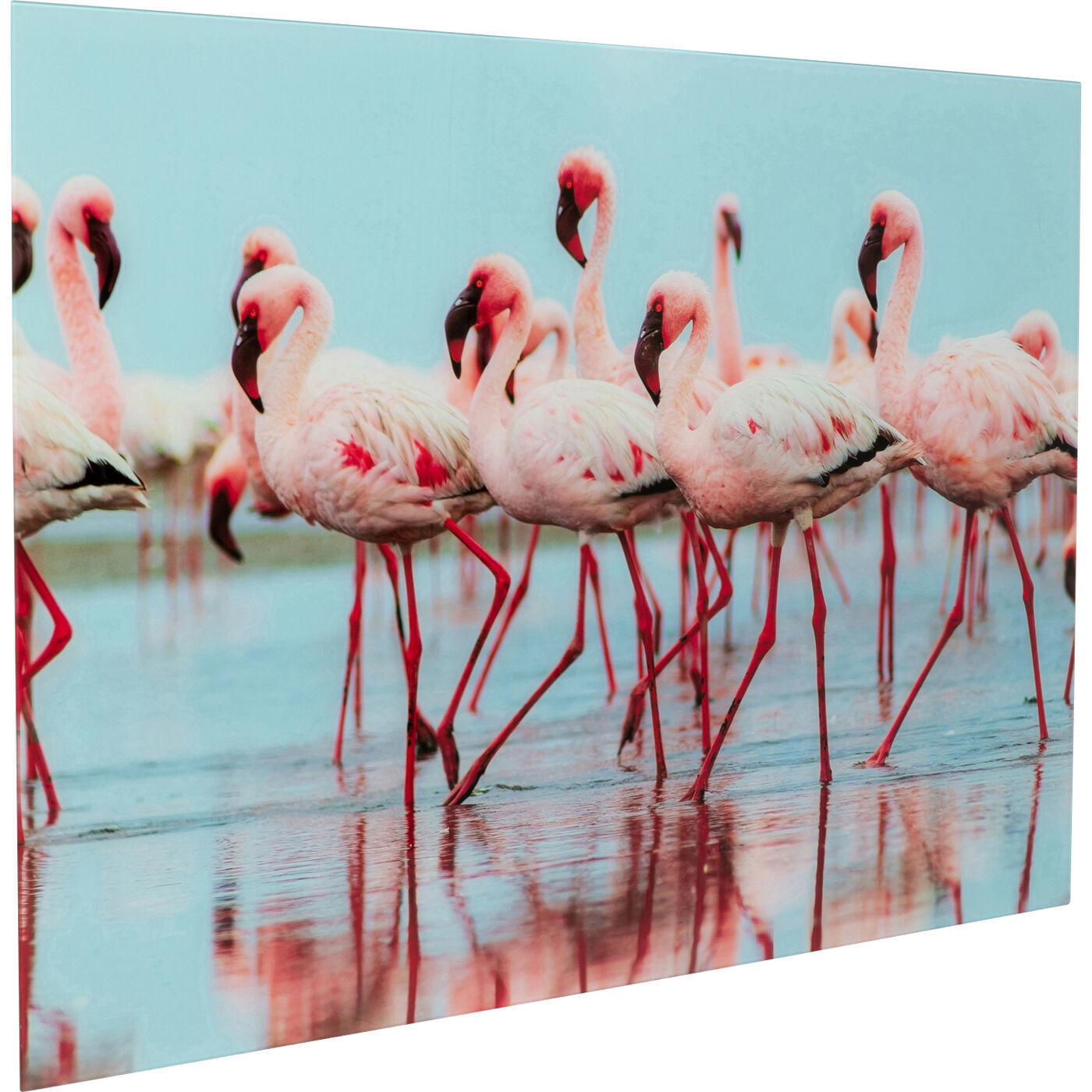 Картина Flamingo 53604 Kare