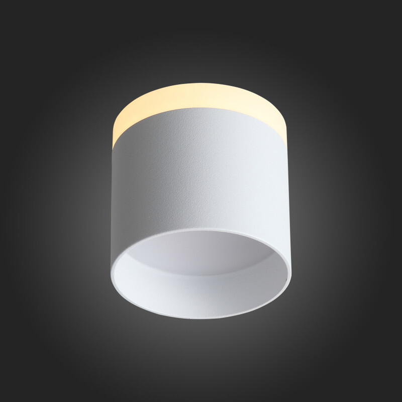 Накладной светильник ST Luce ST102.502.09