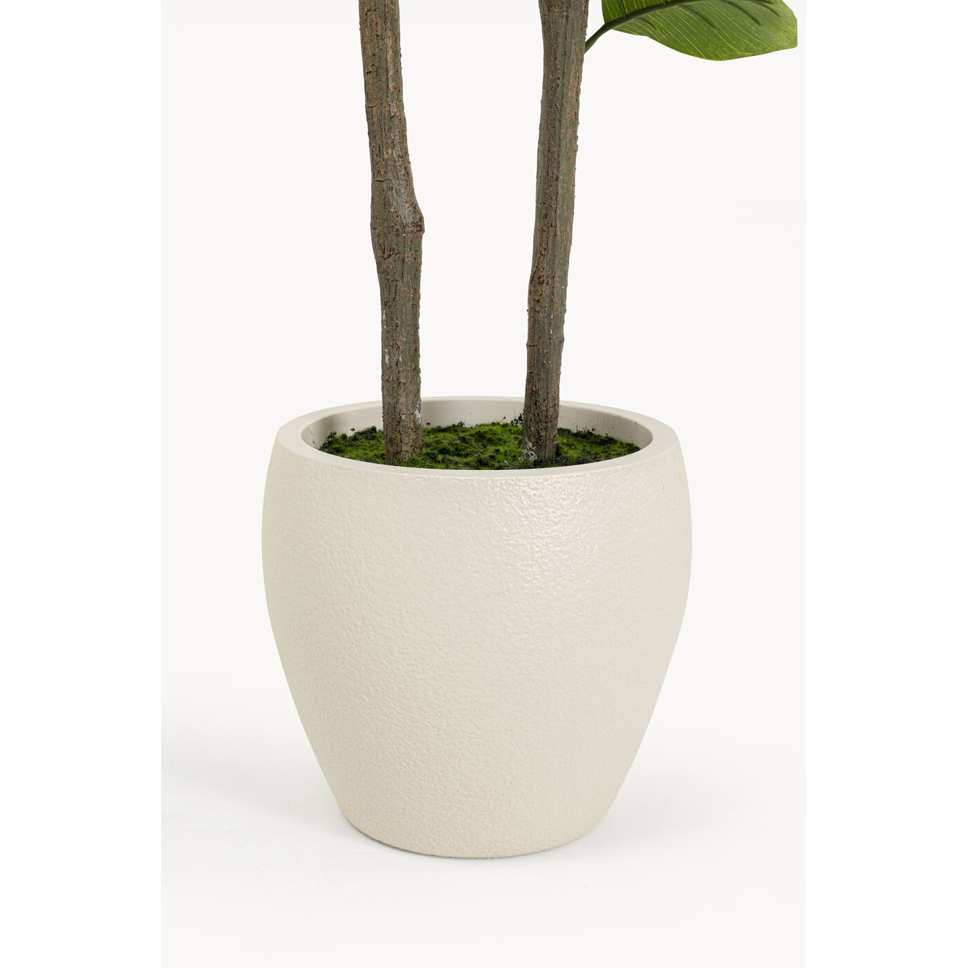 Растение декоративное Balata Tree 162cm KARE 58351