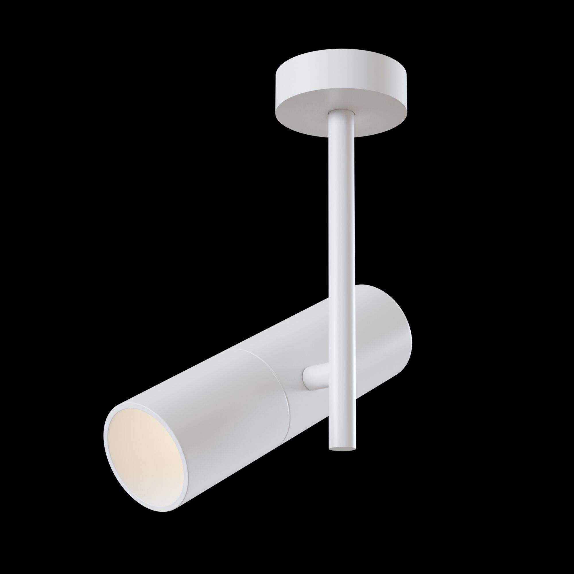 Потолочный светильник Maytoni C020CL-01W