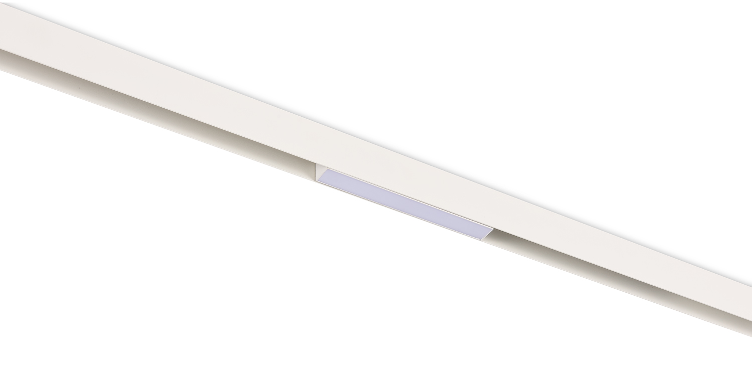 Светодиодный светильник Donolux DL20293TW8WTuya