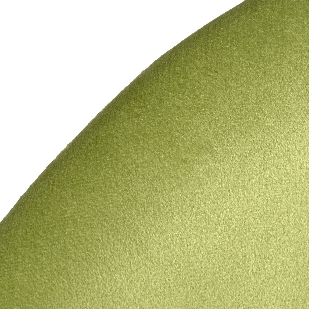 Стул Leo светло-зелёный Bradex Home RF 0368