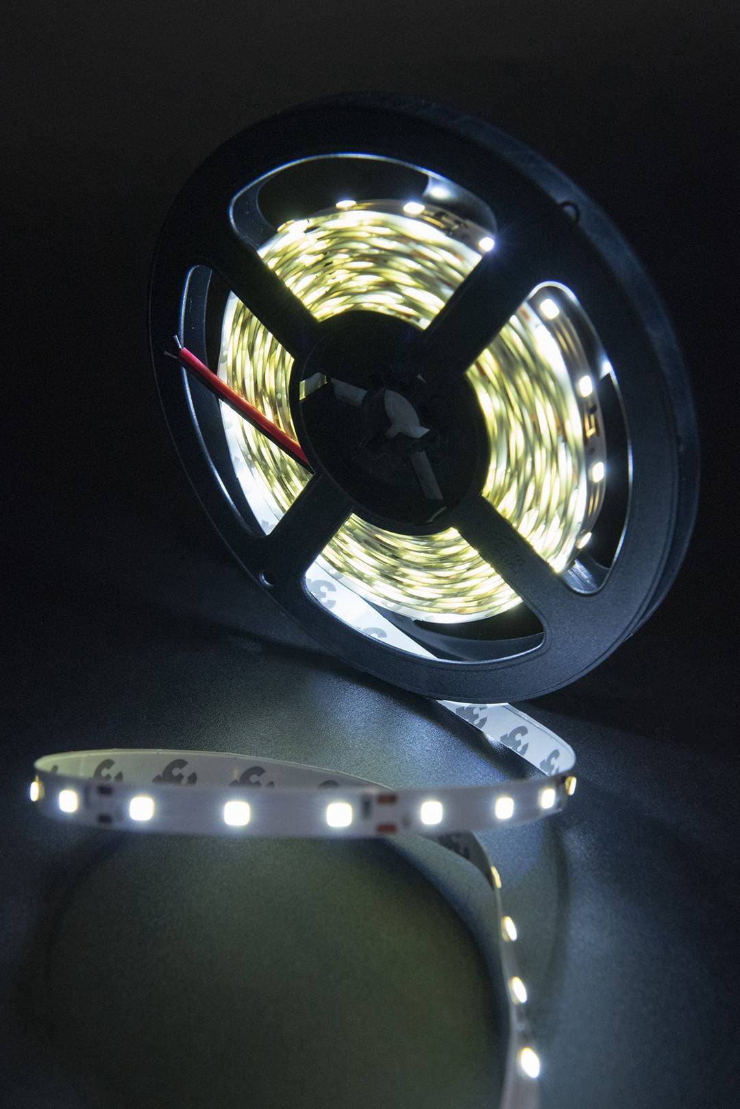 Лента светодиодная SWG ECO-SWG260-12-4.8-W