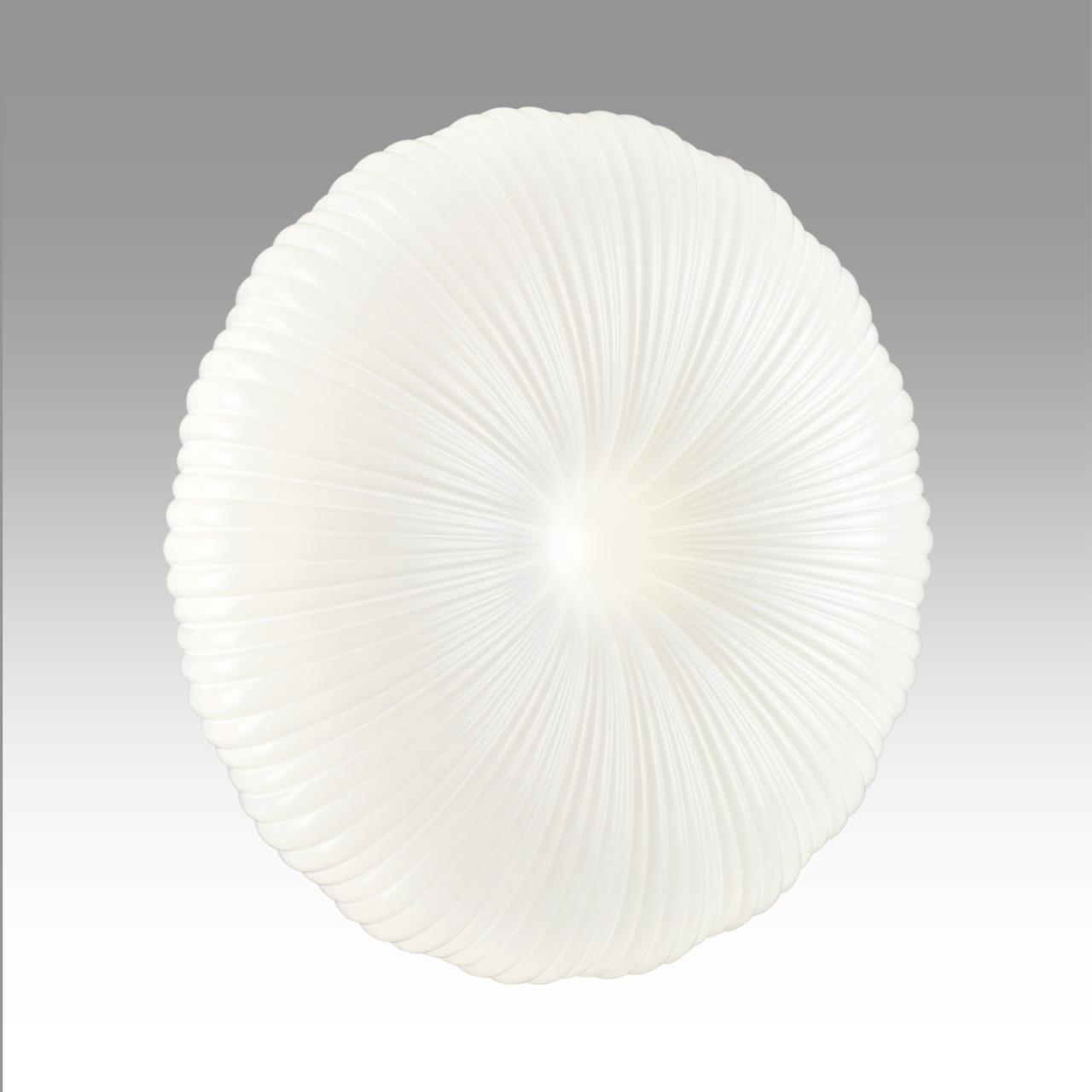 Настенно-потолочный светильник Sonex 7678/ELN