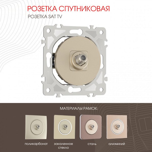 Розетка Arte Milano 202.42-1.shampan