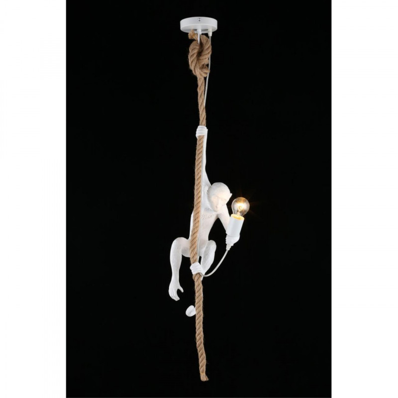 Потолочный детский светильник APLOYT APL.309.06.01