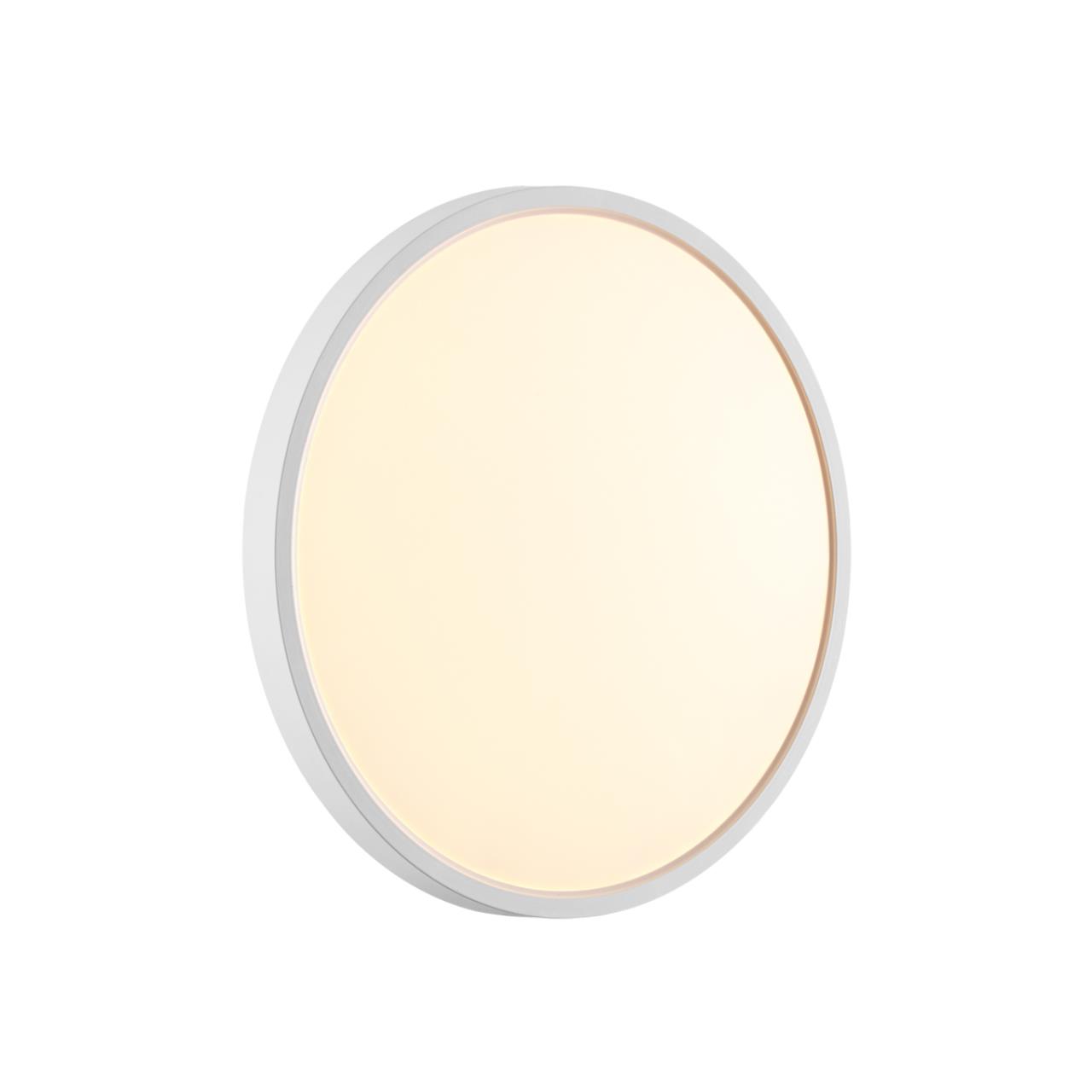 Настенно-потолочный светильник Sonex 7659/24L