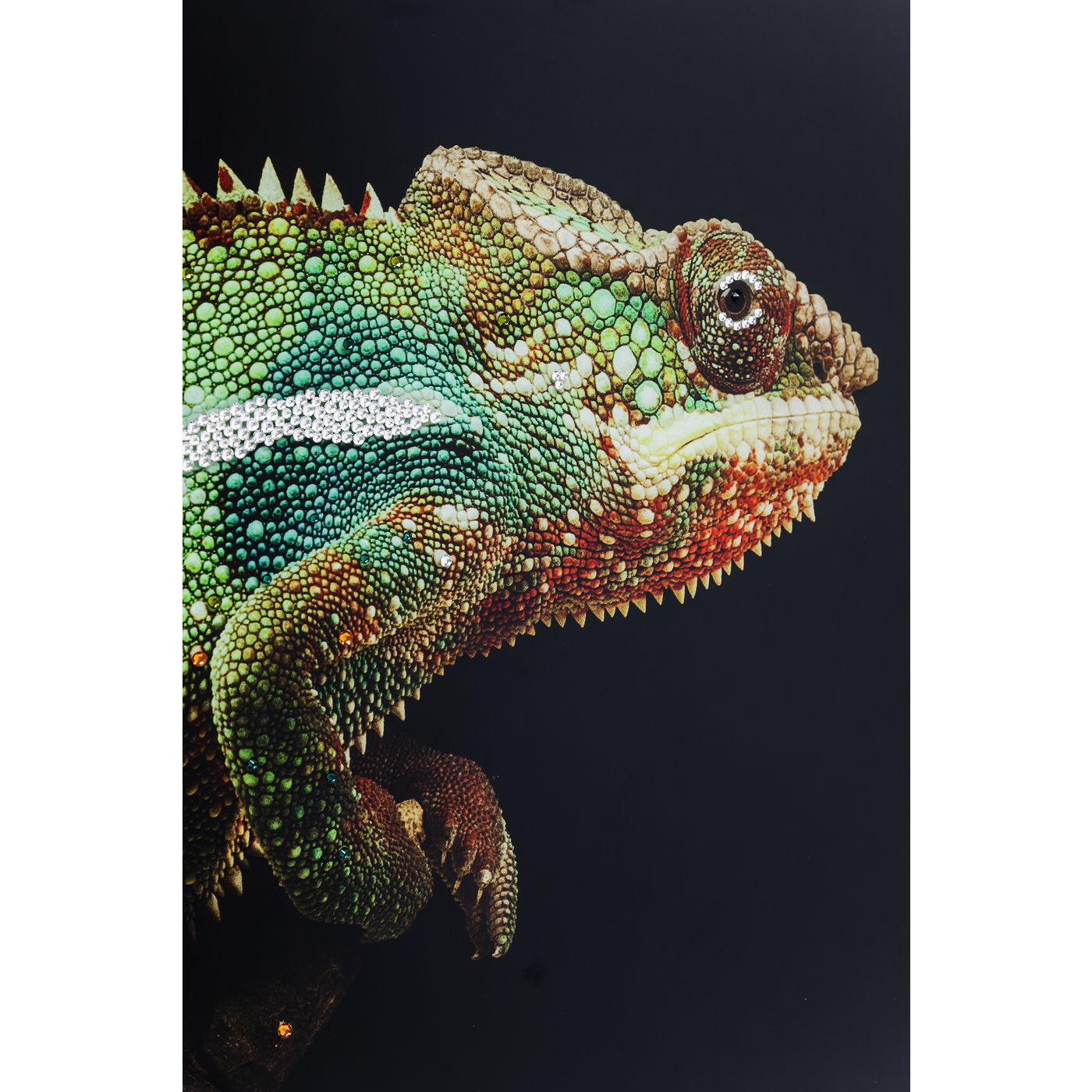Украшение настенное Chameleon 38193 KARE
