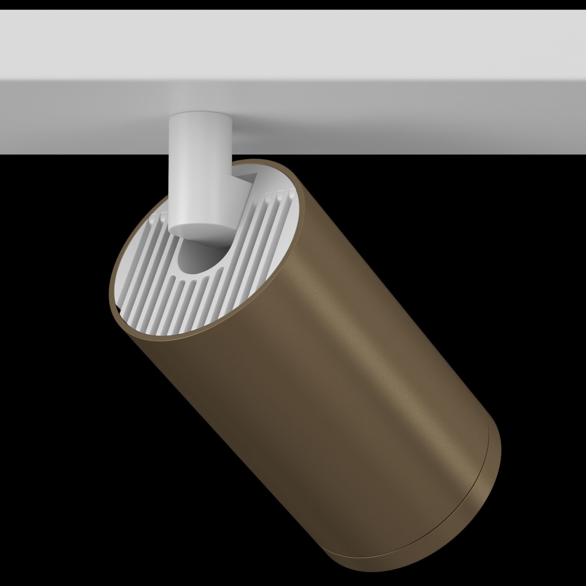 Потолочный светильник (Набор) Maytoni C051CL-2WBZ