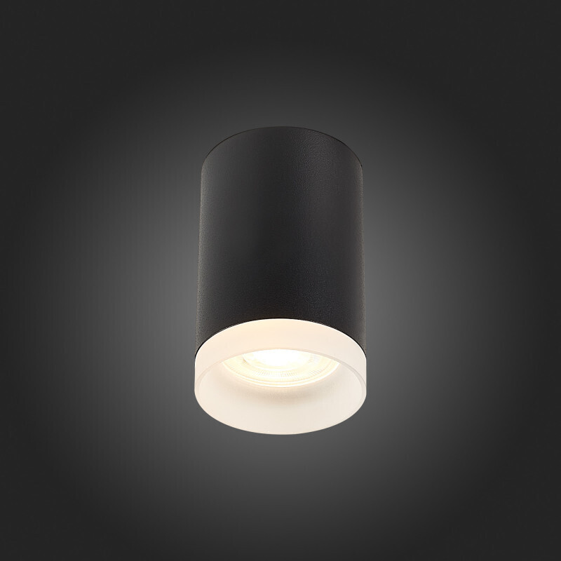 Накладной светильник ST-Luce ST100.402.01