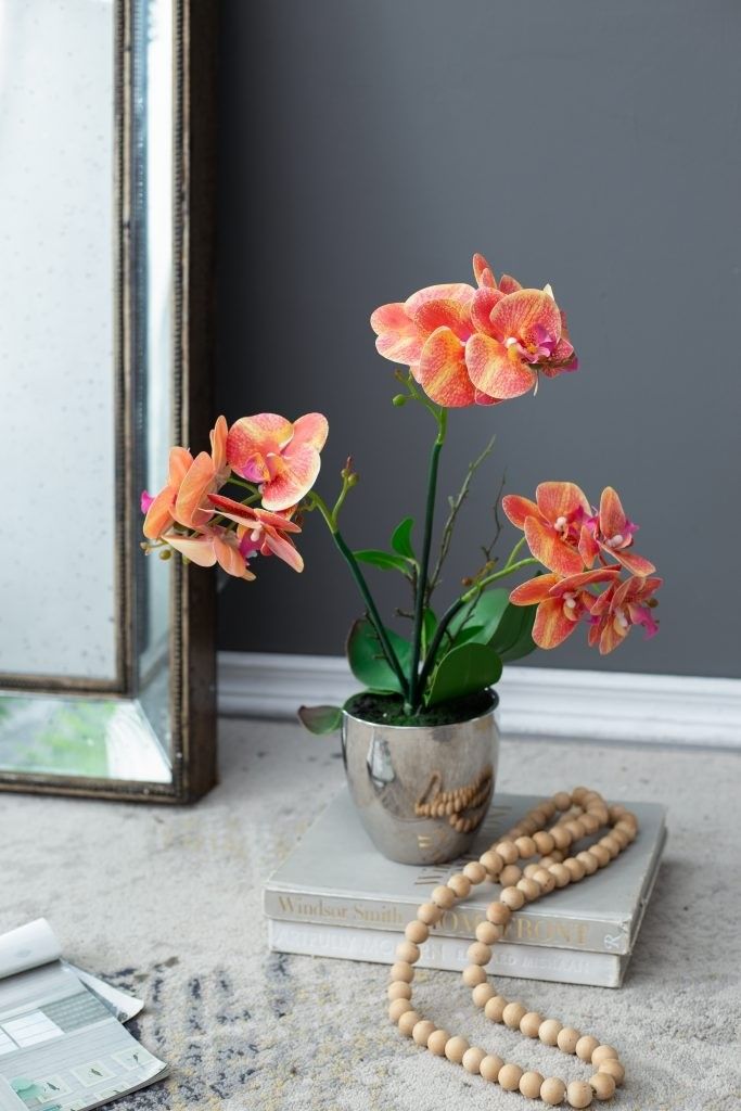 Растение декоративное Орхидея Glasar 420026-AB