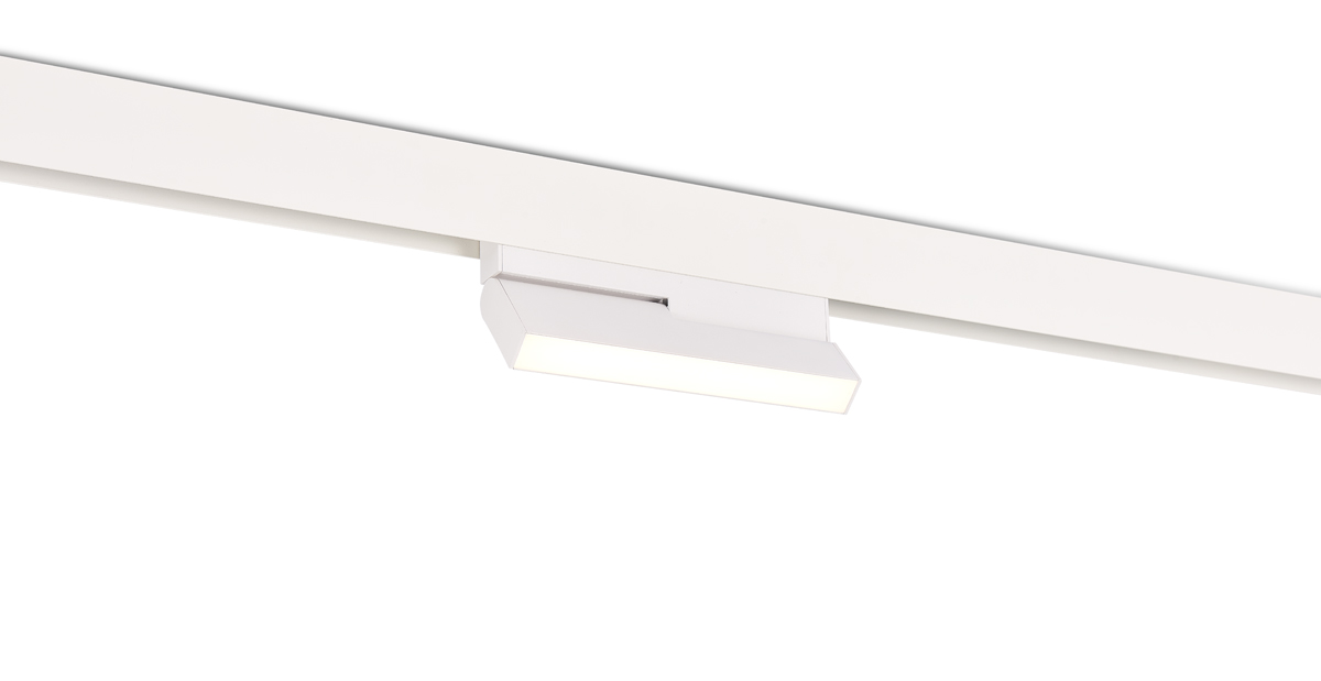 Светодиодный светильник Donolux DL20294WW8W