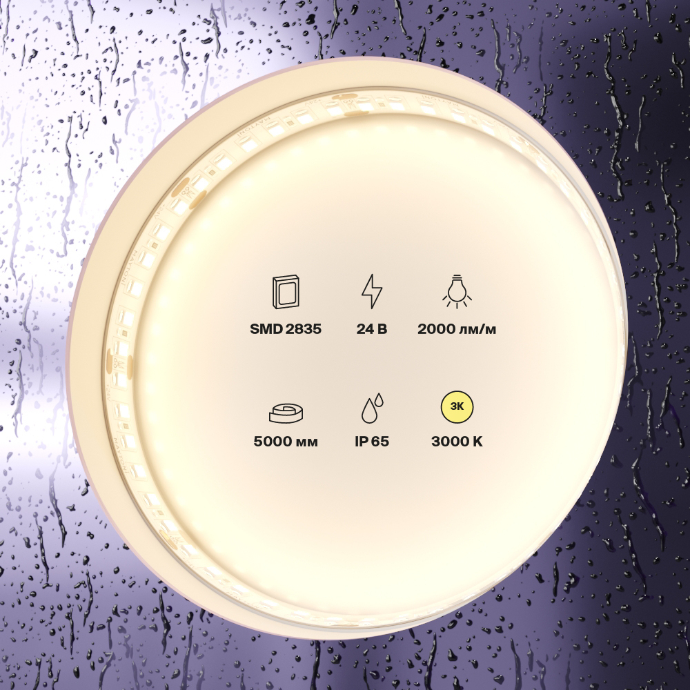 Светодиодная лента Maytoni Led Strip 10157