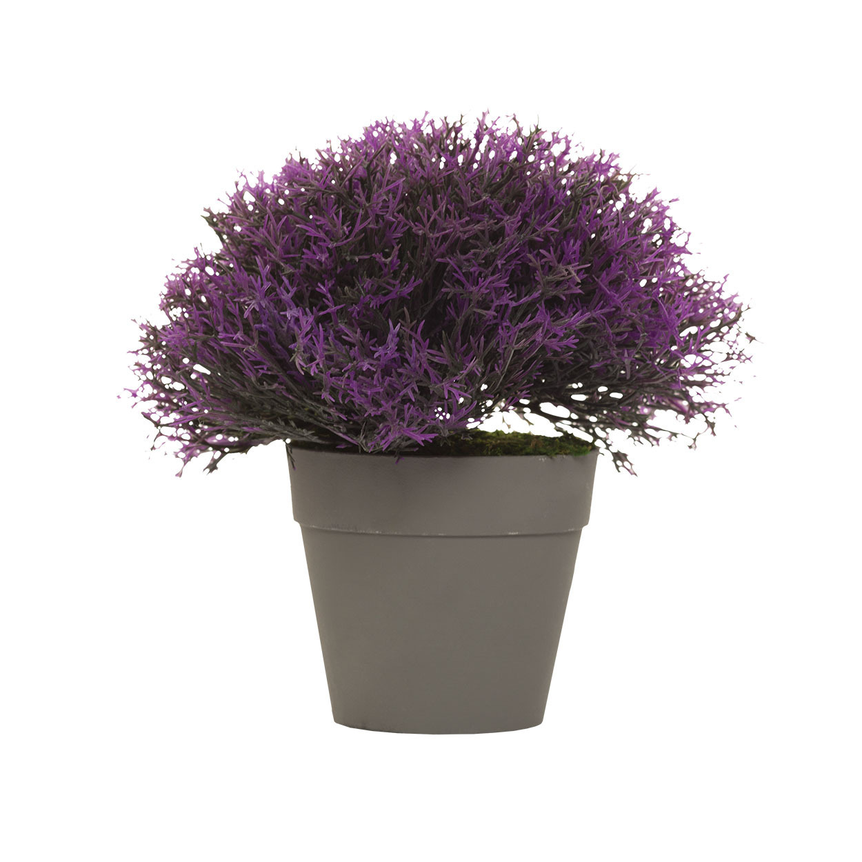 Лаванда в горшочке Garda Decor 8J-12CK0062