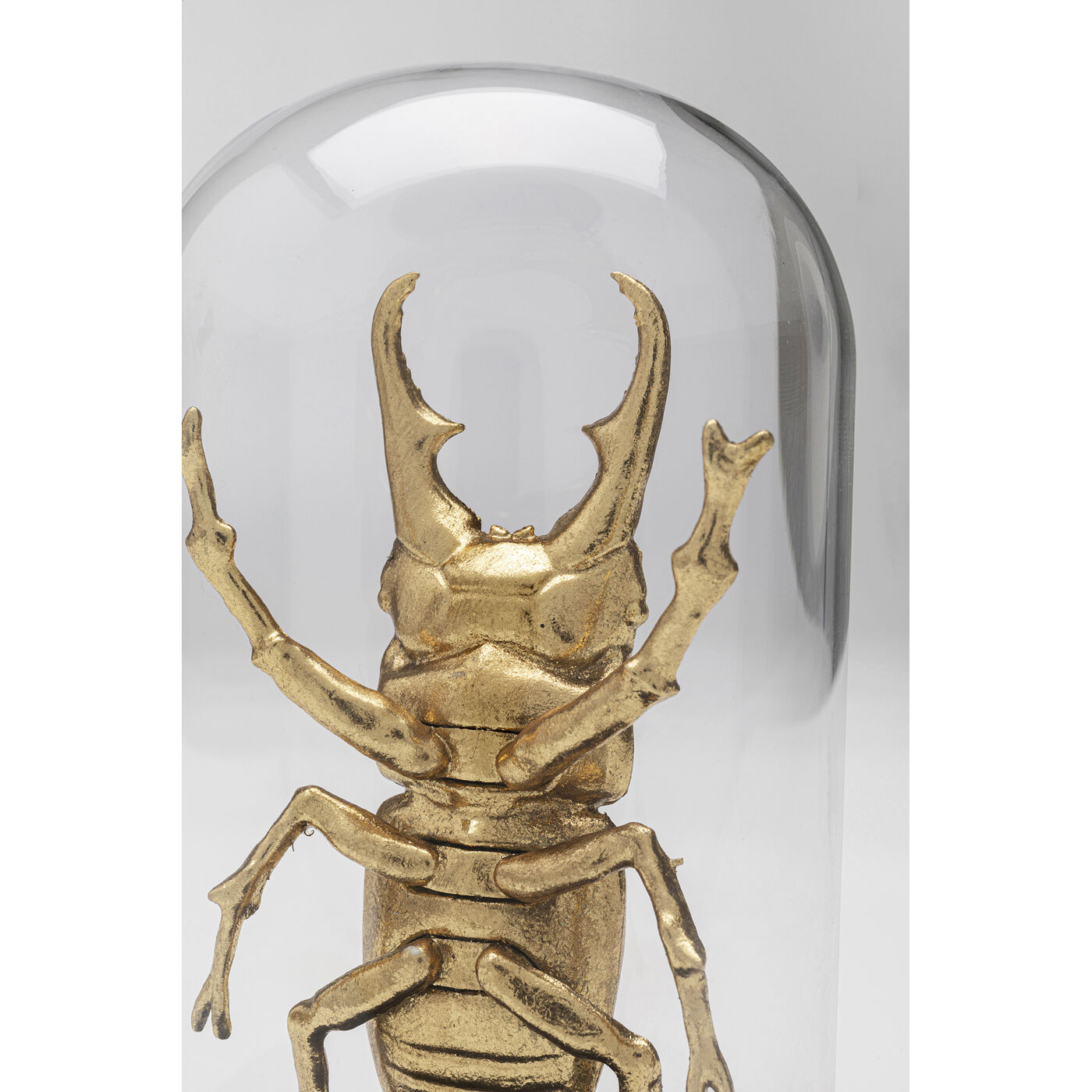 Объект декоративный Bell Jar Hercules Beetle 20cm KARE 57720