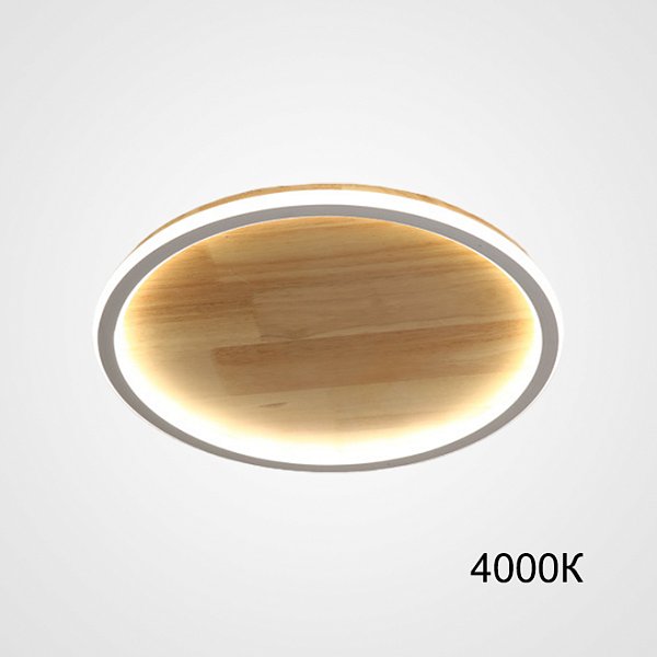 Потолочный светильник DOLAN D30 4000К by ImperiumLoft