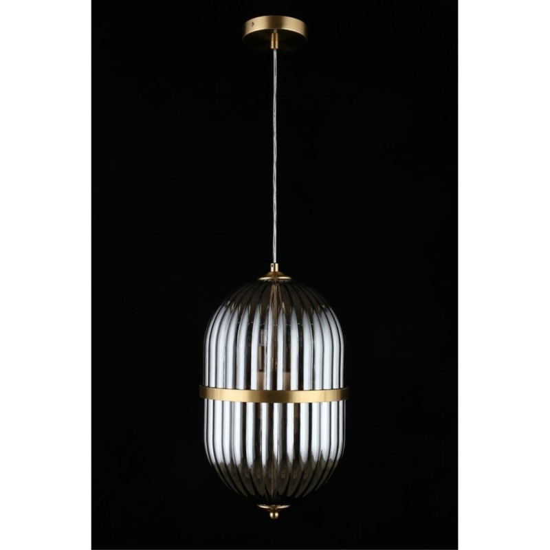 Подвесной светильник APLOYT APL.860.06.06