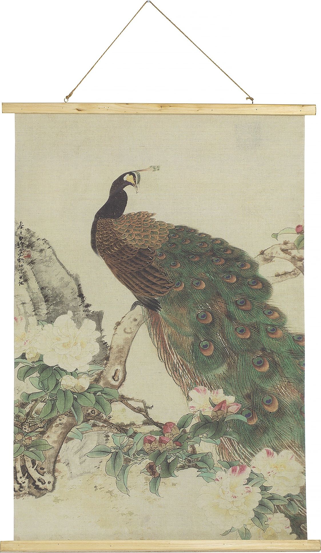 Картина подвесная "Павлин" Glasar 49-272