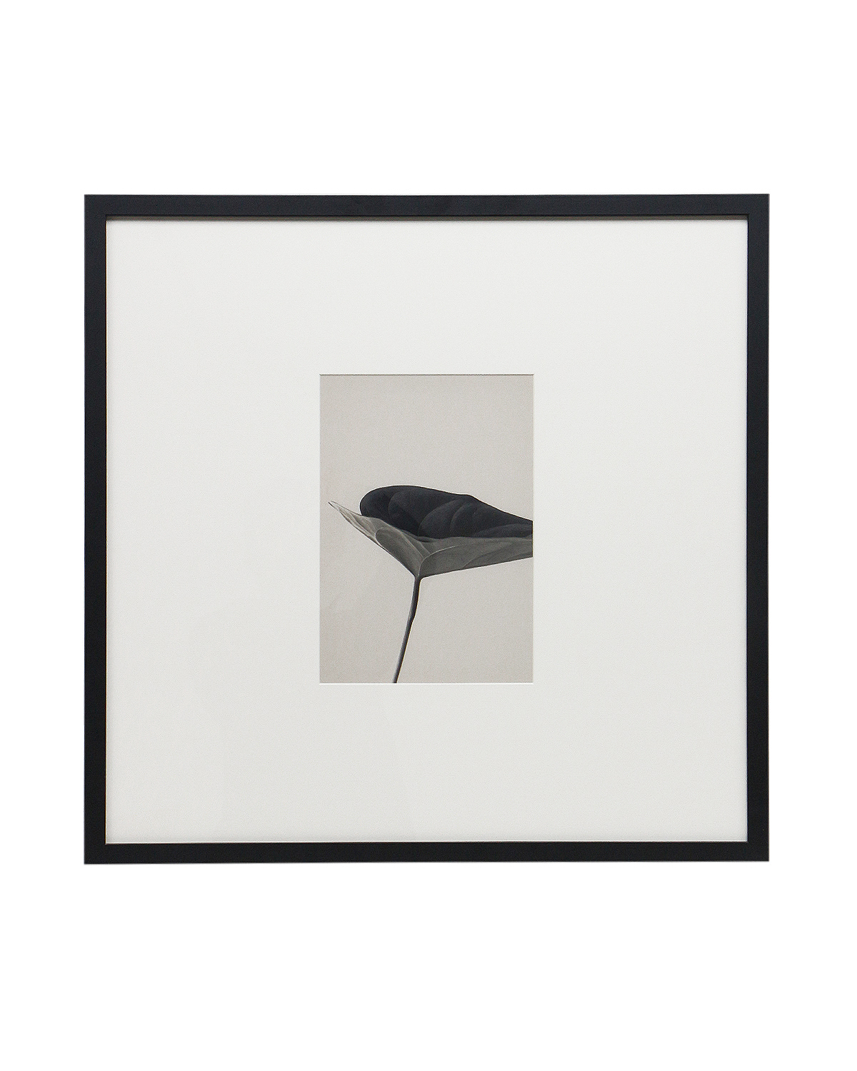 Интерьерный постер Floral - I Louvre Home DPP220924VHS