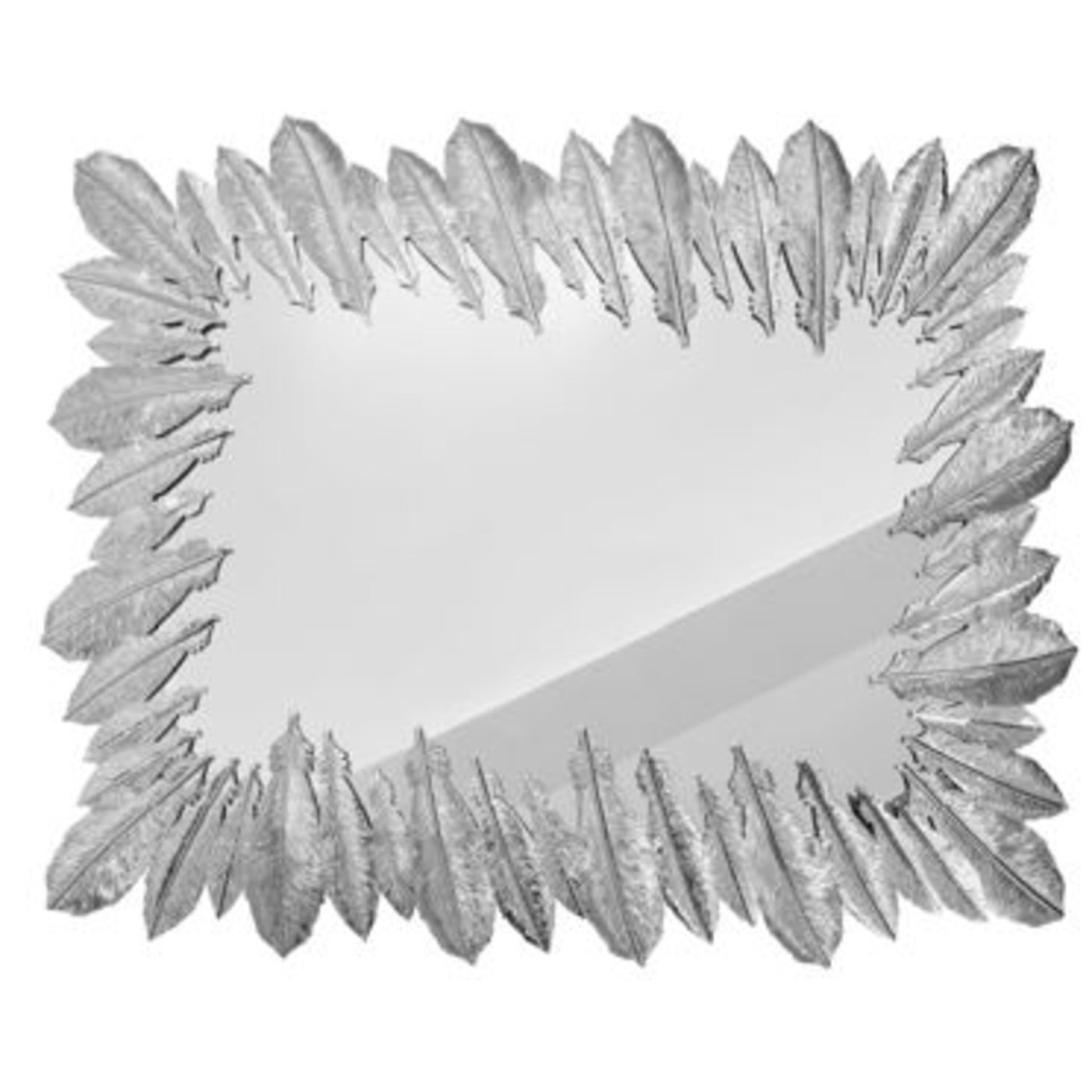 Зеркало Feathers 52802 KARE