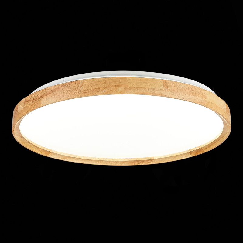 Накладной светильник Evoluce SLE201382-01