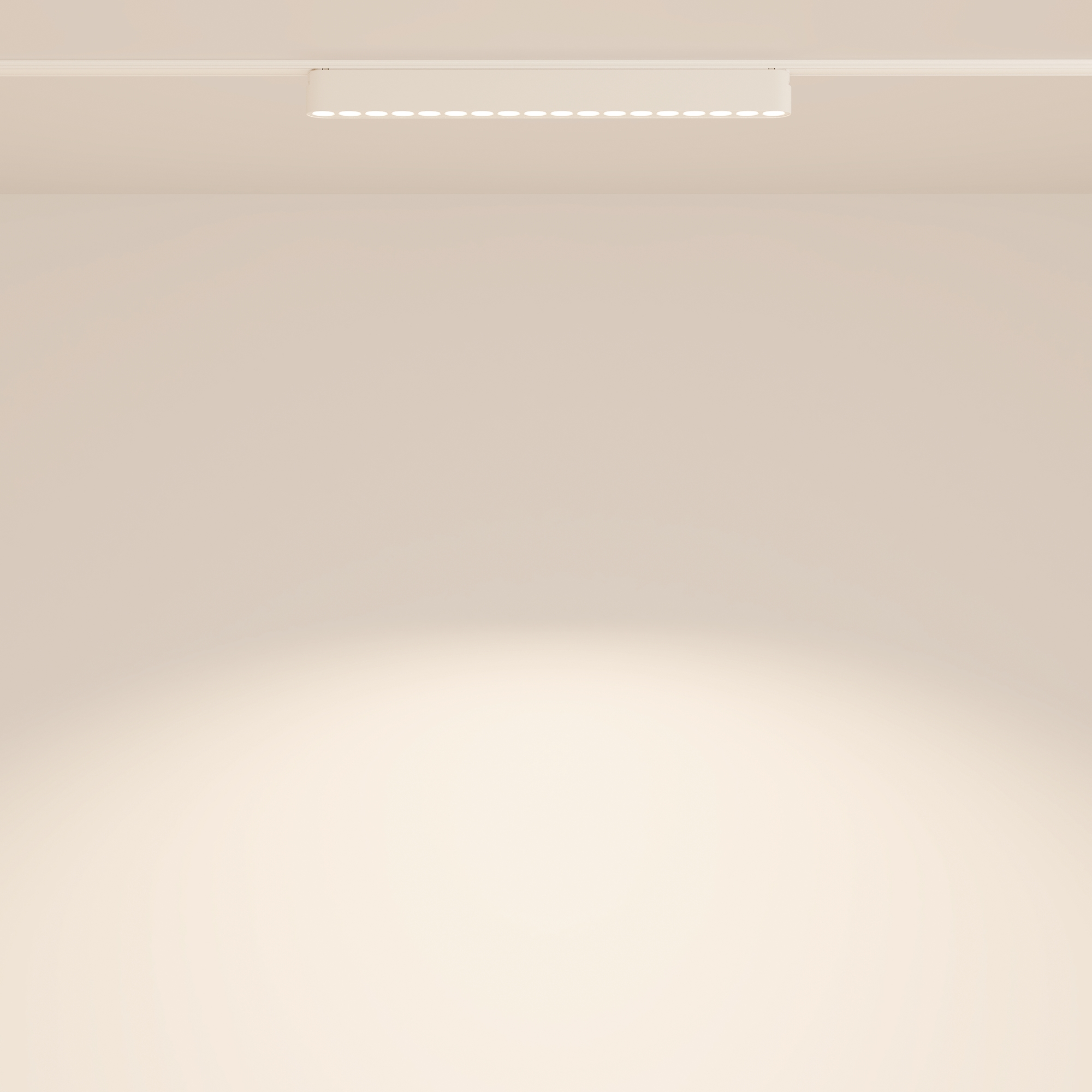 Трековый светильник Technical TR082-1-18W4K-M-W