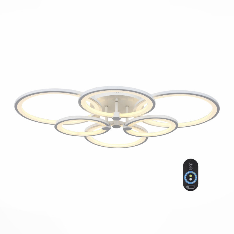 Накладной светильник ST Luce SL867.502.06