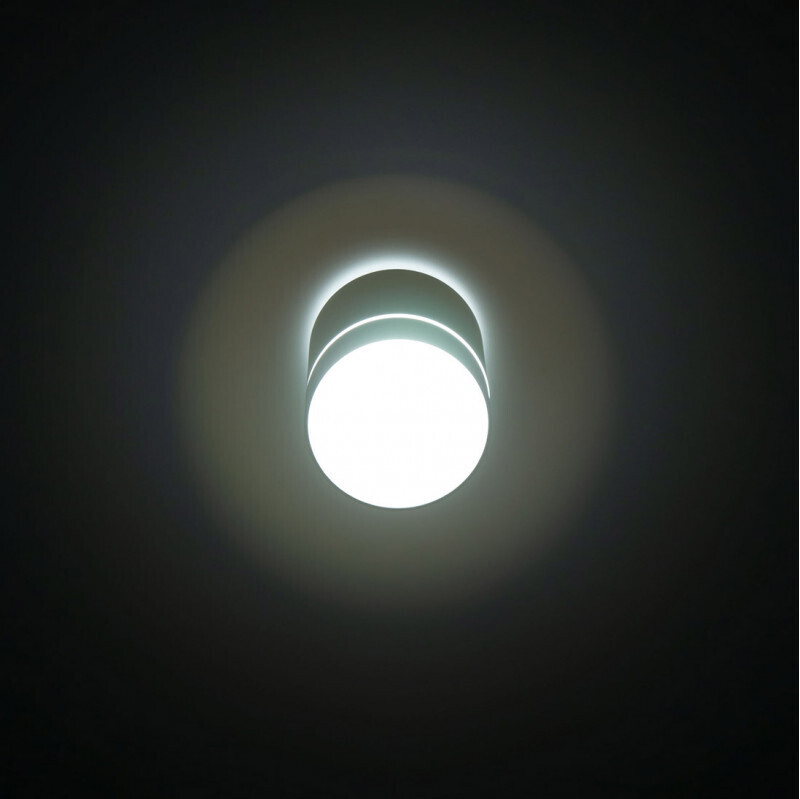 Накладной светильник Citilux CL745010N