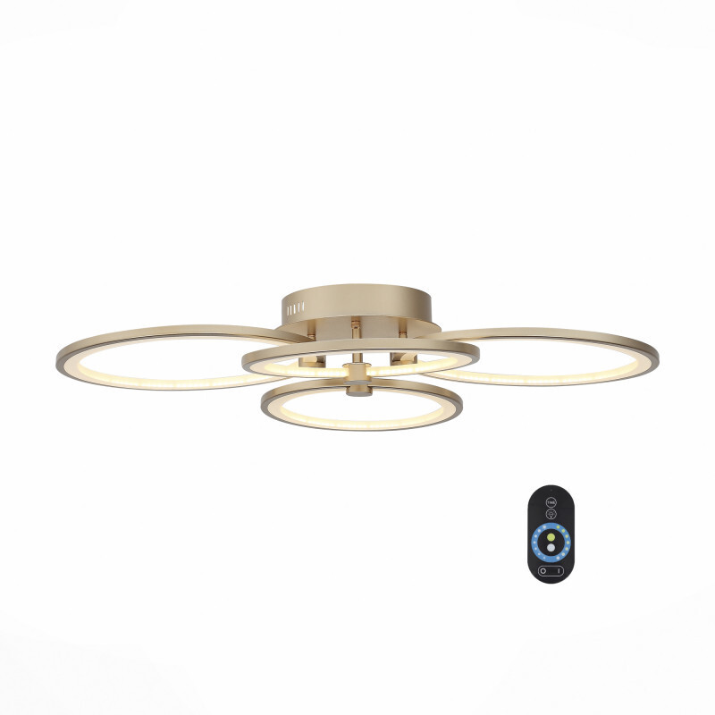 Накладной светильник ST Luce SL867.202.04