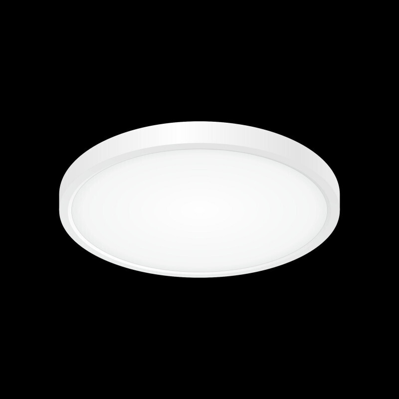 Накладной светильник Citilux CL738240V