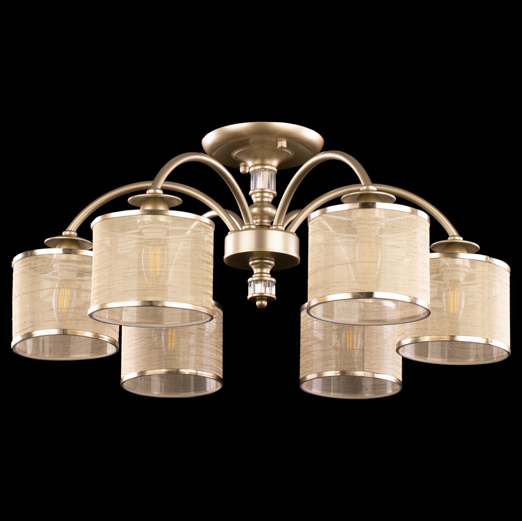 Потолочный светильник Freya FR2539CL-06G