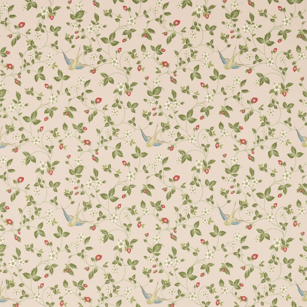 Текстиль Clarke & Clarke Botanical Wonders Fabric F1606/01