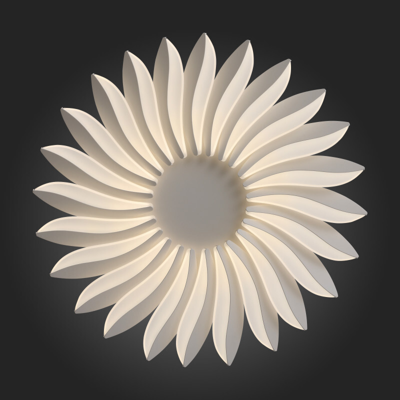 Накладная люстра ST Luce SL836.502.24