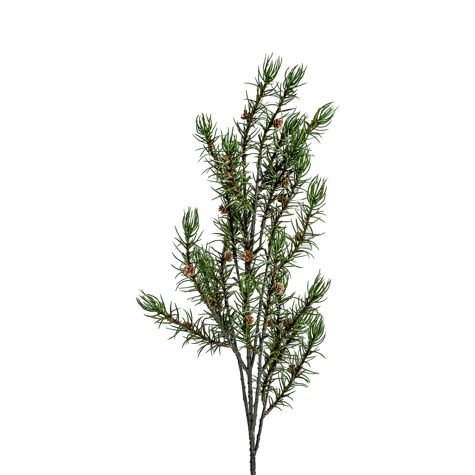 Ветка розмарина ROMERO Vical