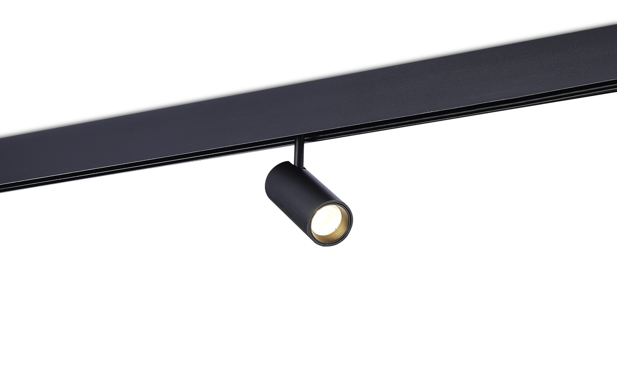 Светодиодный светильник Donolux DL20295WW10BND