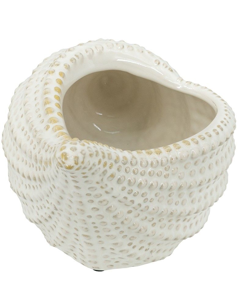 Кашпо Ракушка Glasar C6113